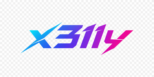 x311y